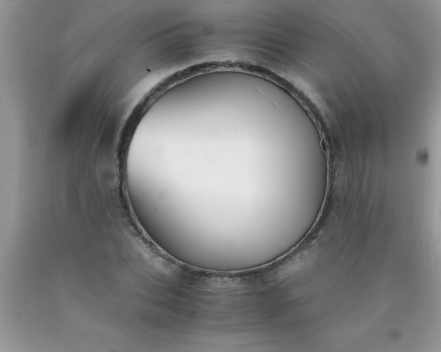 X0000090450927200707272212