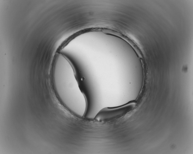 X0000090450928200707272212