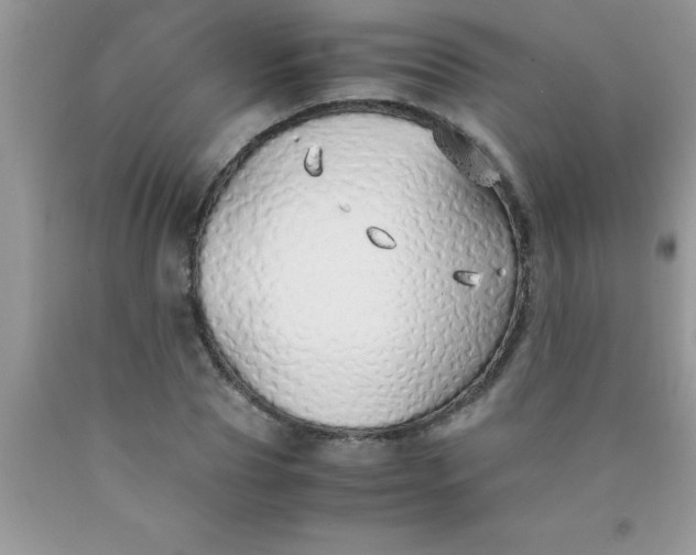 X0000090450929200707272212