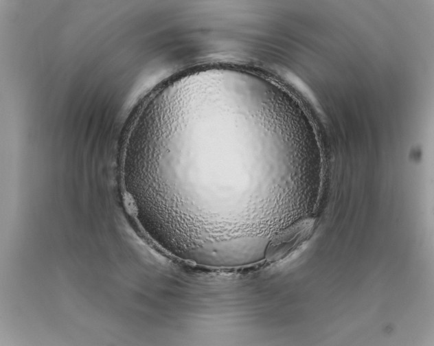 X0000090450930200707272212