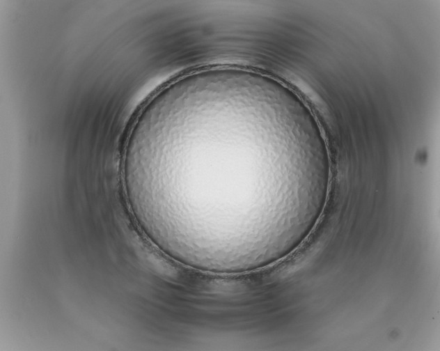 X0000090450933200707272213