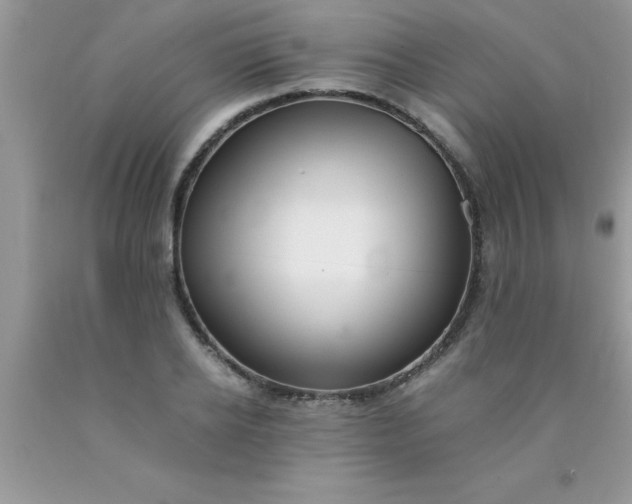 X0000090450934200707272213