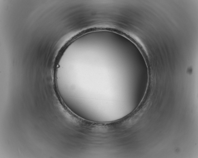 X0000090450935200707272213