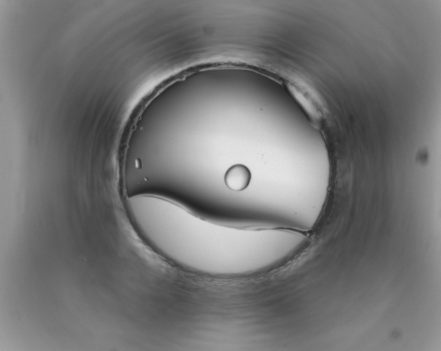 X0000090450936200707272213