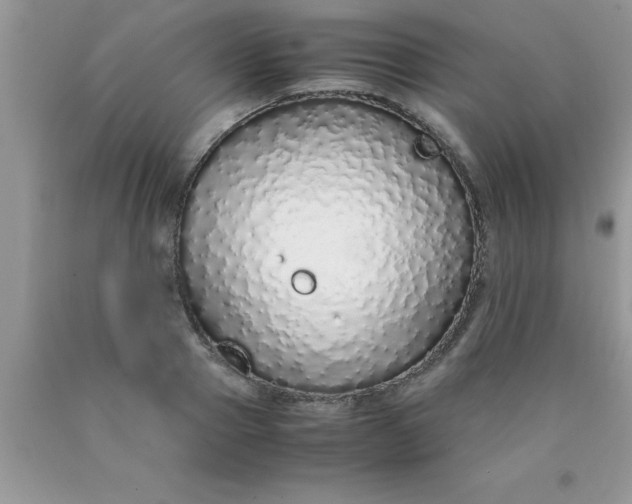 X0000090450937200707272213