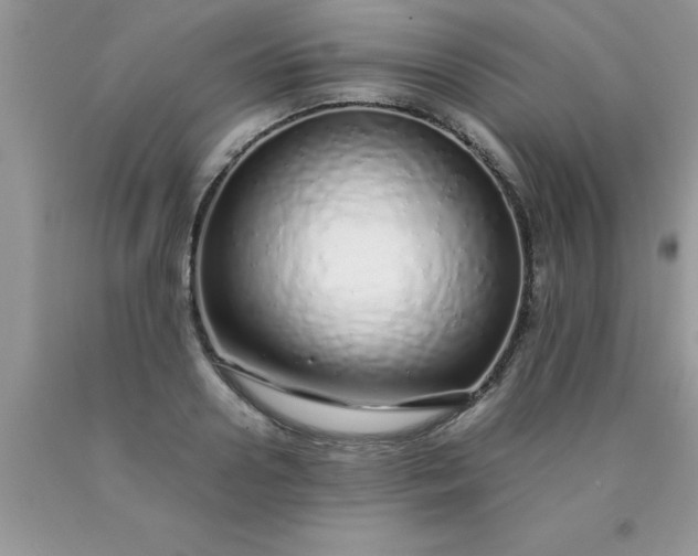 X0000090450938200707272213