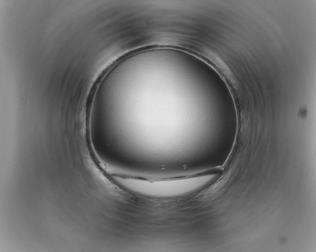 X0000090450939200707272213