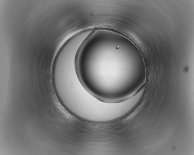 X0000090450940200707272213