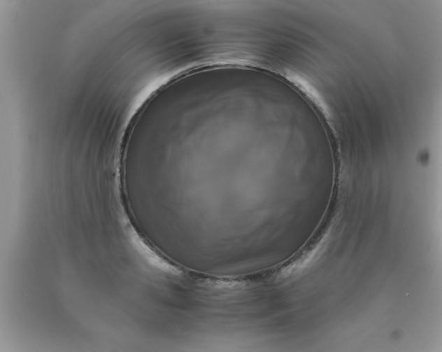 X0000090450941200707272213