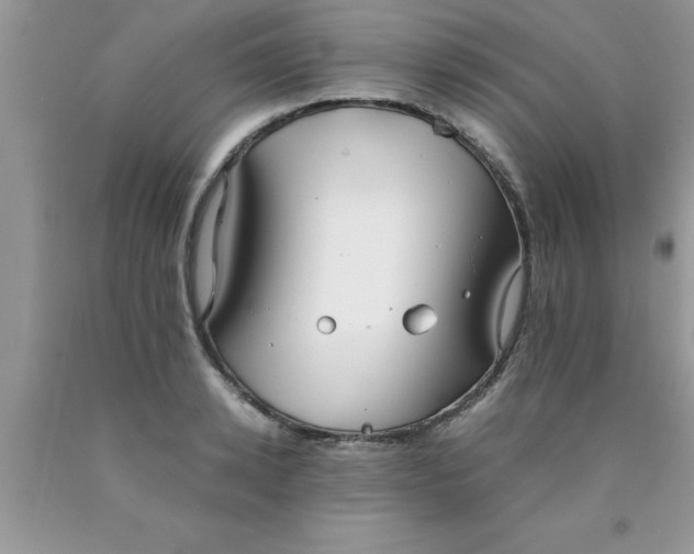 X0000090450942200707272213