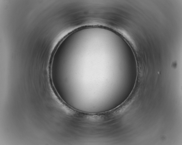 X0000090450943200707272213