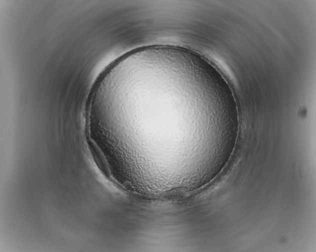 X0000090450944200707272213