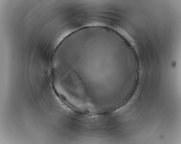 X0000090450945200707272213