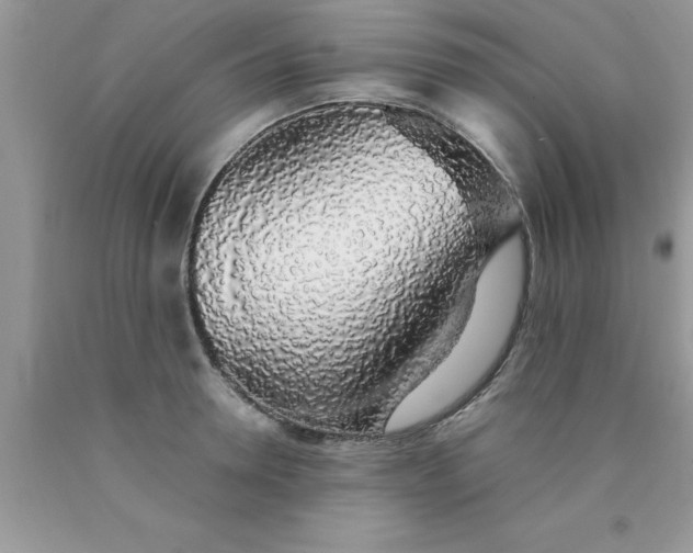 X0000090450946200707272213