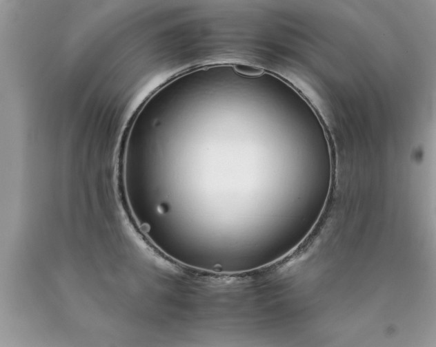 X0000090450949200707272213