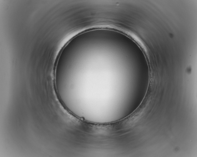 X0000090450951200707272213