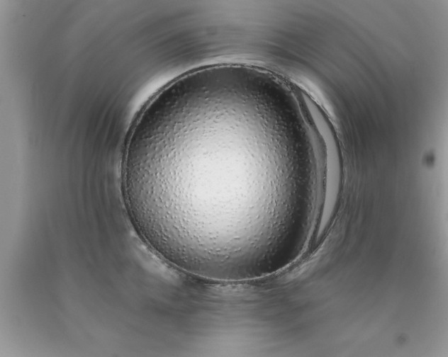 X0000090450952200707272213