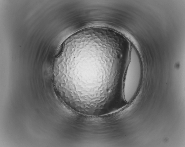 X0000090450953200707272213