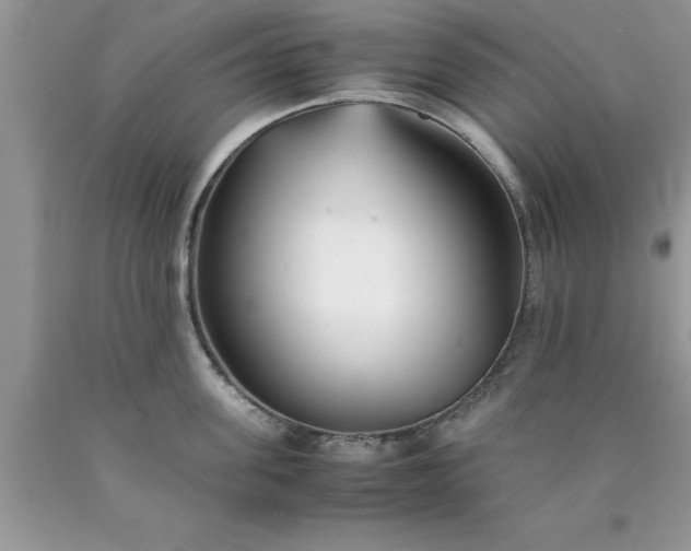 X0000090450955200707272213