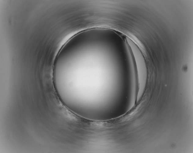 X0000090450956200707272213