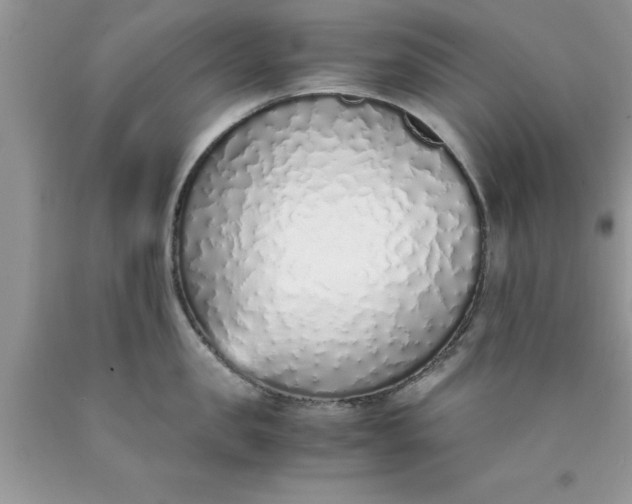 X0000090450957200707272213