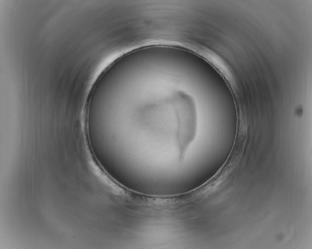 X0000090450958200707272213