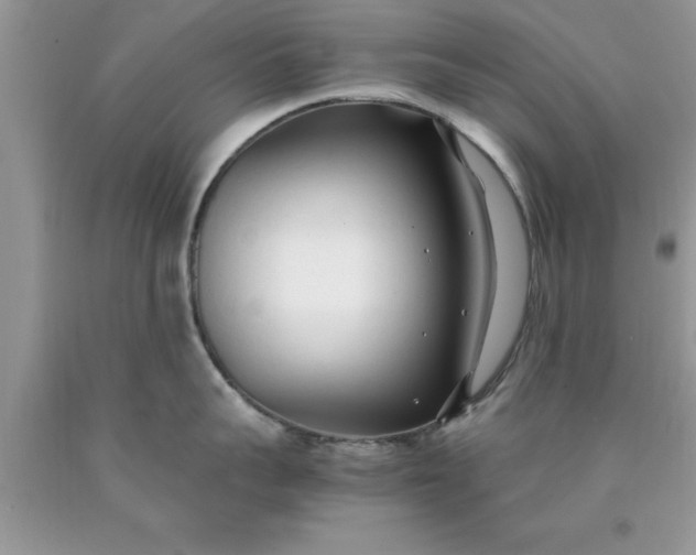 X0000090450959200707272213