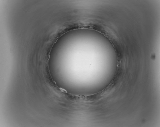 X0000090450961200707272212