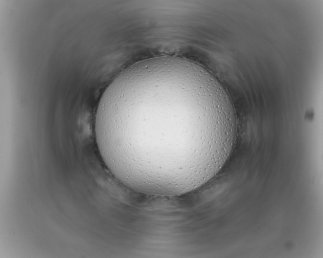 X0000090450962200707272212