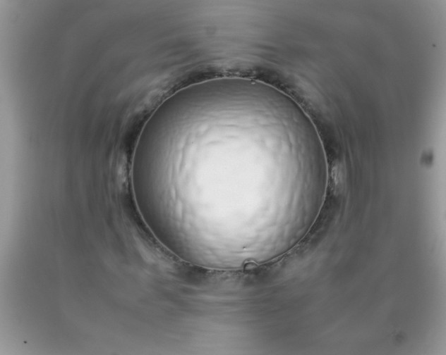 X0000090450963200707272212