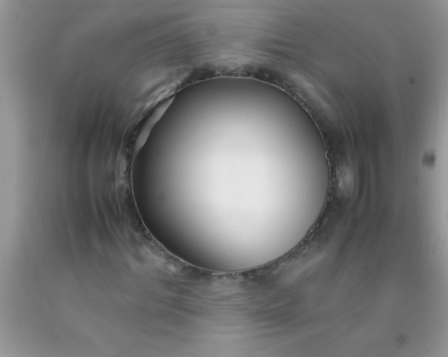 X0000090450964200707272212