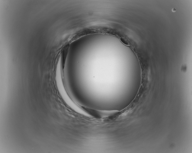 X0000090450965200707272212