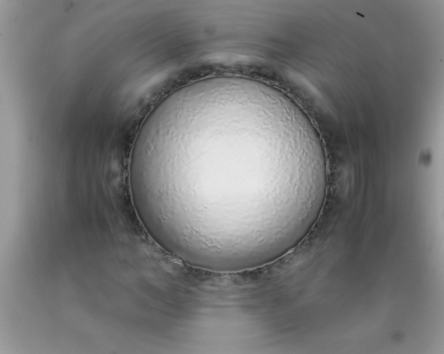 X0000090450966200707272212