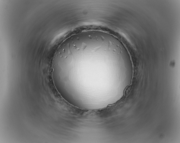 X0000090450967200707272212