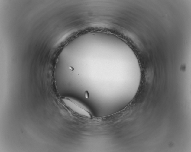 X0000090450968200707272212