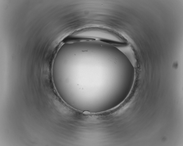 X0000090450969200707272212