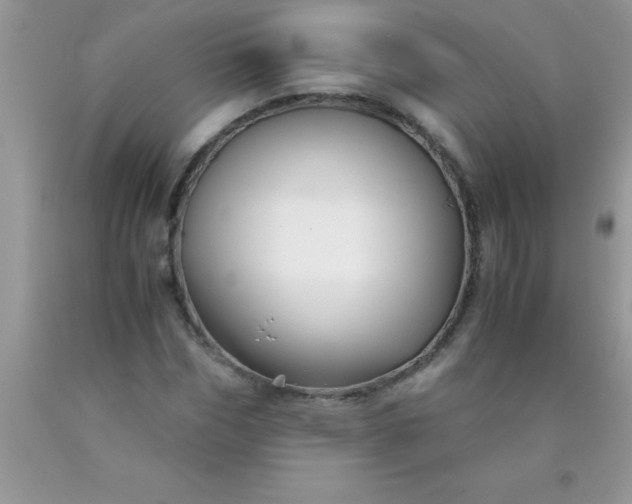 X0000090450970200707272212