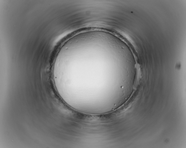 X0000090450971200707272212