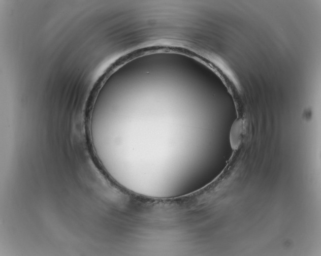 X0000090450972200707272212