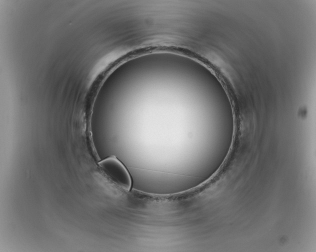 X0000090450973200707272212