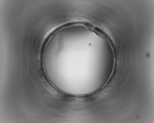 X0000090450975200707272212