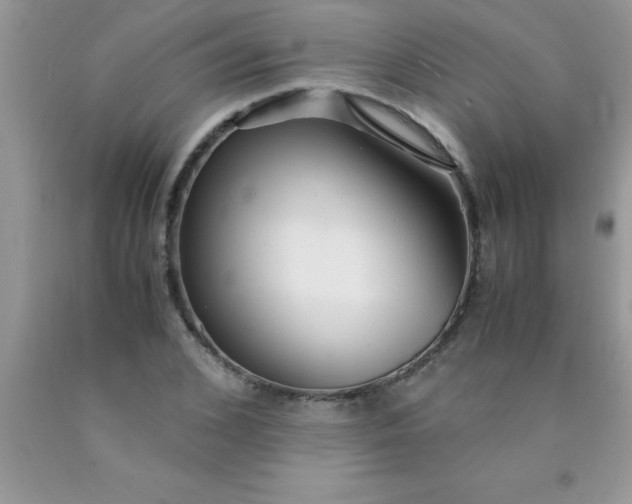 X0000090450976200707272212