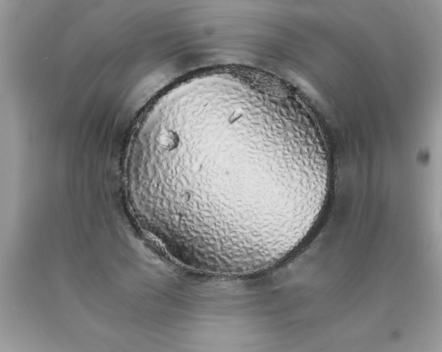 X0000090450977200707272212