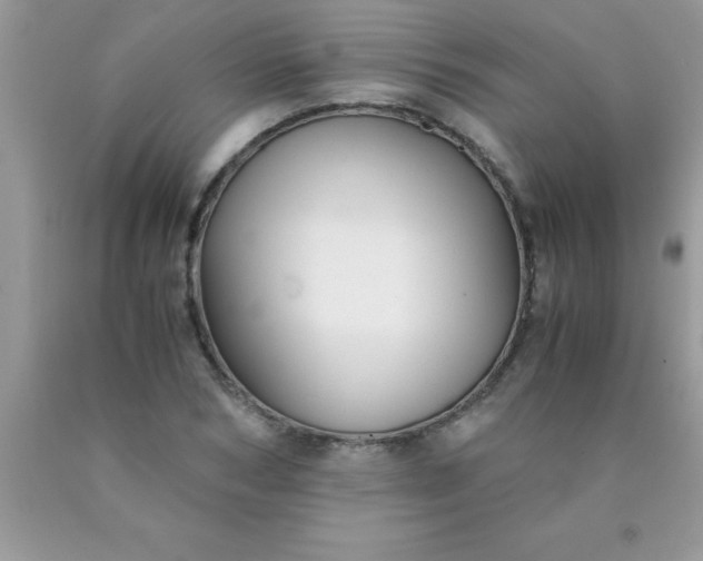 X0000090450978200707272212