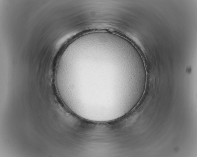 X0000090450979200707272212