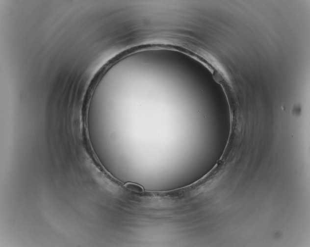 X0000090450980200707272212