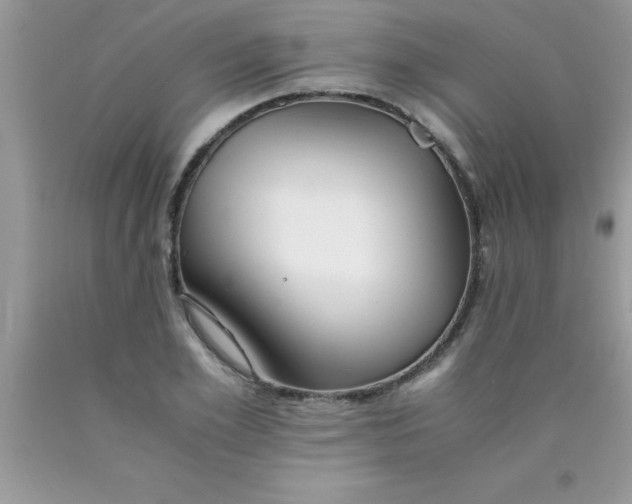 X0000090450981200707272212