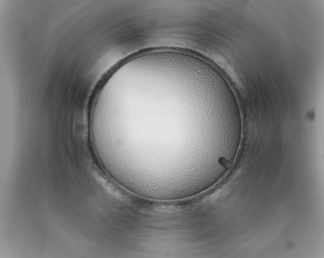 X0000090450982200707272212