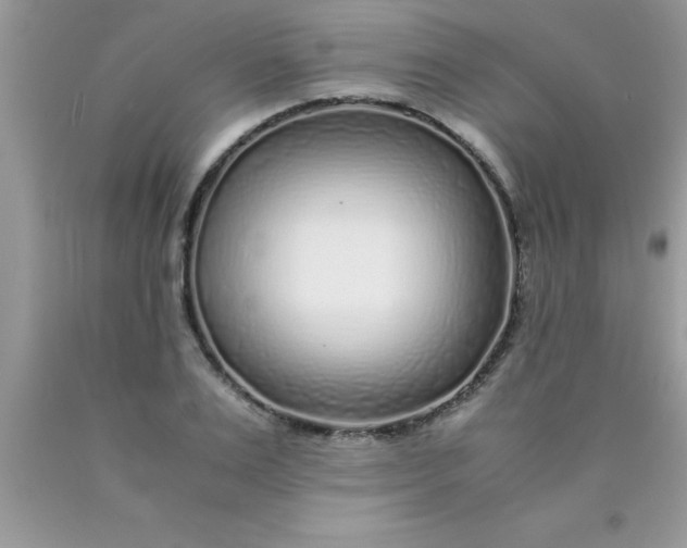 X0000090450983200707272212