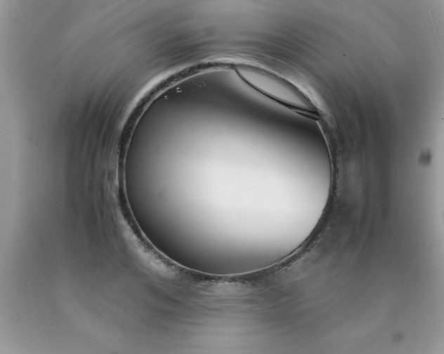 X0000090450984200707272212